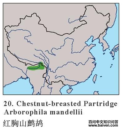 ����ɽ���ĵ����ֲ�ͼ