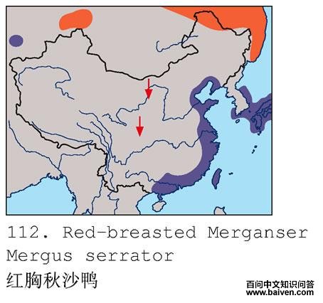 ������ɳѼ�ĵ����ֲ�ͼ