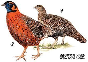 ���ؽ�����ͼ��