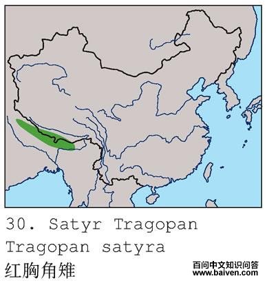 ���ؽ����ĵ����ֲ�ͼ