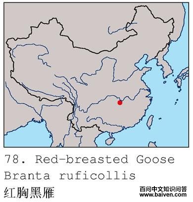 ���غ���ĵ����ֲ�ͼ