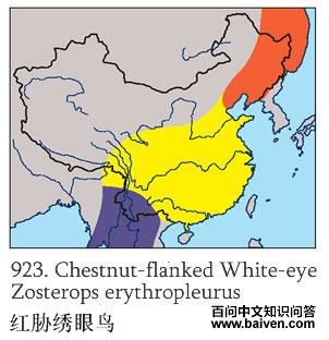 ��в������ĵ����ֲ�ͼ