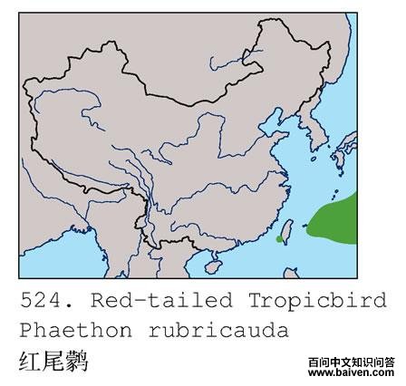 ��β�s�ĵ����ֲ�ͼ