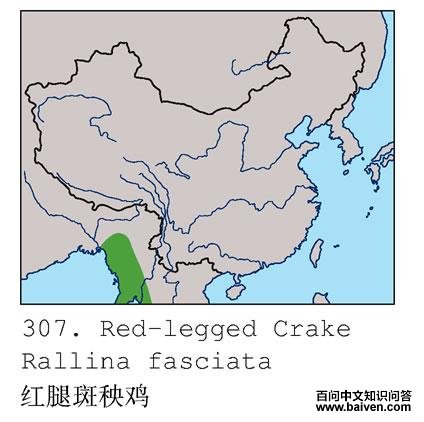 ���Ȱ������ĵ����ֲ�ͼ