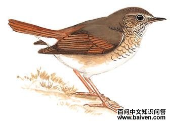 ��β����ͼ��