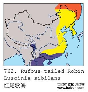 ��β���ĵ����ֲ�ͼ