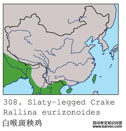 �׺��������ĵ����ֲ�ͼ