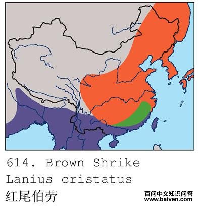 ��β���͵ĵ����ֲ�ͼ