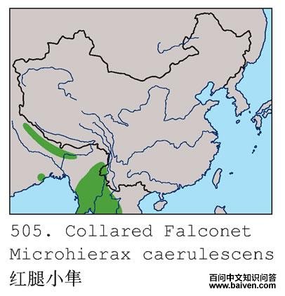 ����С���ĵ����ֲ�ͼ