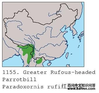 ��ͷѻȸ�ĵ����ֲ�ͼ