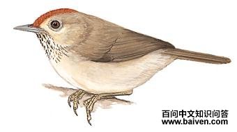 ��ͷ���̵�ͼ��