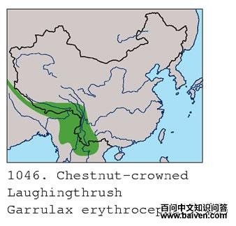 ��ͷ���̵ĵ����ֲ�ͼ