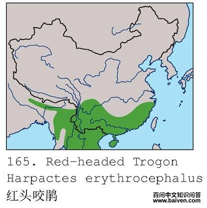 ��ͷҧ��ĵ����ֲ�ͼ