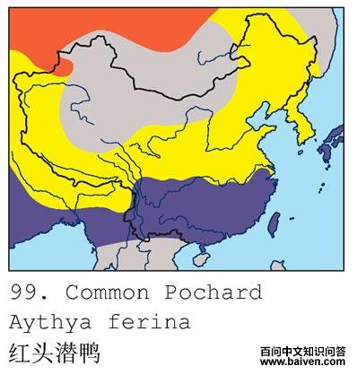 ��ͷǱѼ�ĵ����ֲ�ͼ