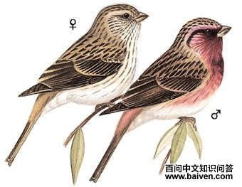 ��ü��ȸ��ͼ��