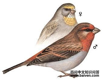 ��ü��ȸ��ͼ��