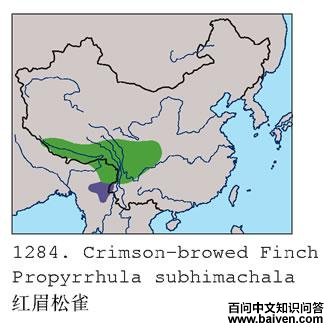 ��ü��ȸ�ĵ����ֲ�ͼ