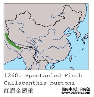 ��ü���ȸ�ĵ����ֲ�ͼ