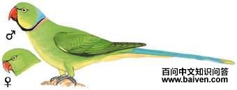 ���������ĵ�ͼ��