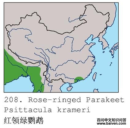 ���������ĵĵ����ֲ�ͼ