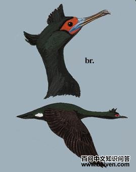 ������˵�ͼ��