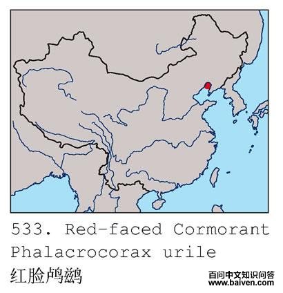 ������˵ĵ����ֲ�ͼ