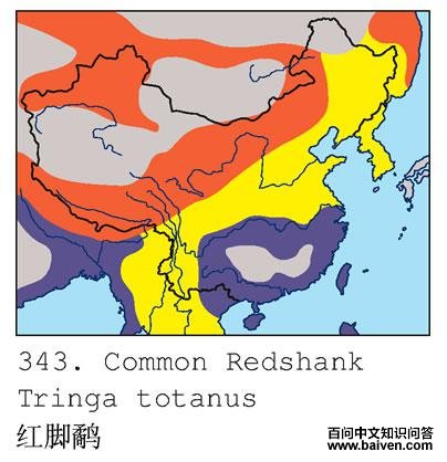 ����ֵĵ����ֲ�ͼ