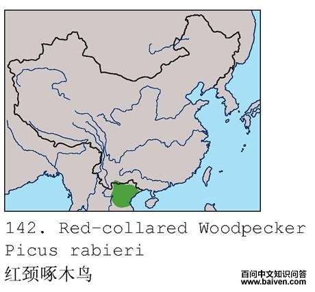 �쾱����ľ��ĵ����ֲ�ͼ