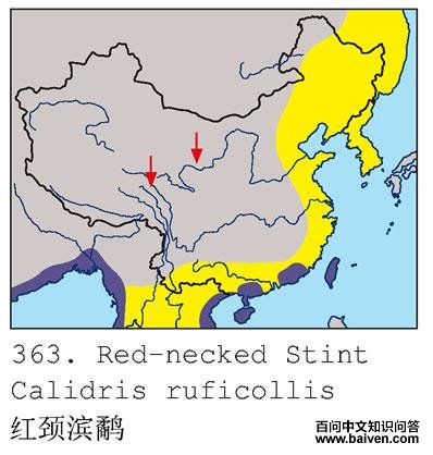 �쾱���ֵĵ����ֲ�ͼ