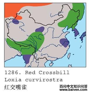 �콻��ȸ�ĵ����ֲ�ͼ