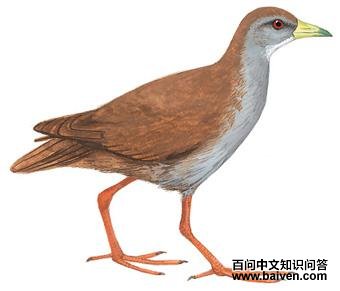 ��ſ�����ͼ��