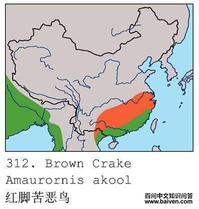 ��ſ����ĵ����ֲ�ͼ