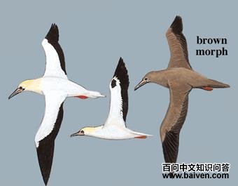 ��������ͼ��