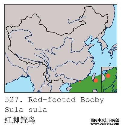 �������ĵ����ֲ�ͼ