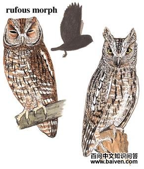 ����^��ͼ��