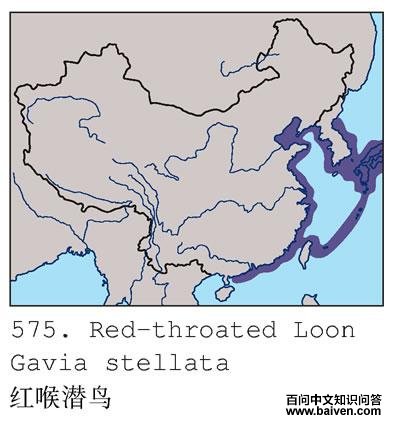 ���Ǳ��ĵ����ֲ�ͼ