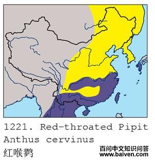 ����ҵĵ����ֲ�ͼ