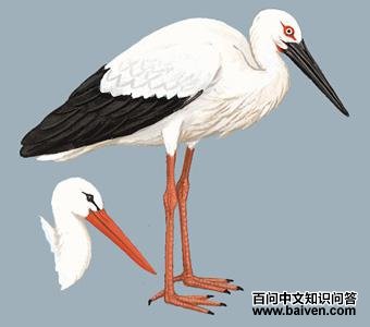 ���ٵ�ͼ��