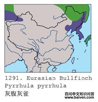 �츹��ȸ�ĵ����ֲ�ͼ