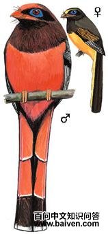 �츹ҧ���ͼ��