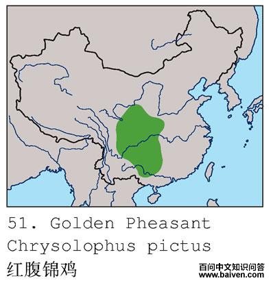 �츹�����ĵ����ֲ�ͼ