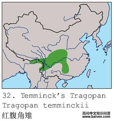 �츹�����ĵ����ֲ�ͼ