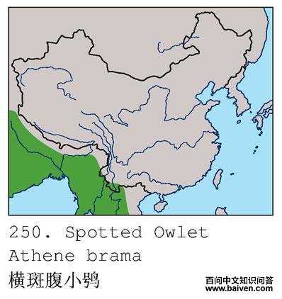 ��߸�С�^�ĵ����ֲ�ͼ