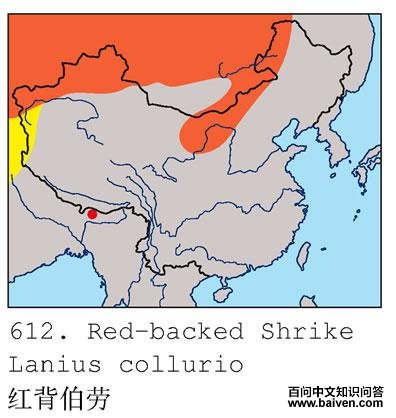 �챳���͵ĵ����ֲ�ͼ