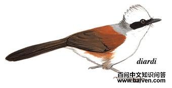 �׹����̵�ͼ��