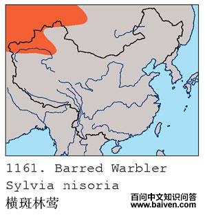 �����ݺ�ĵ����ֲ�ͼ