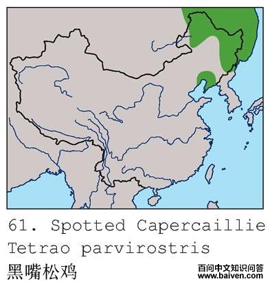 �����ɼ��ĵ����ֲ�ͼ