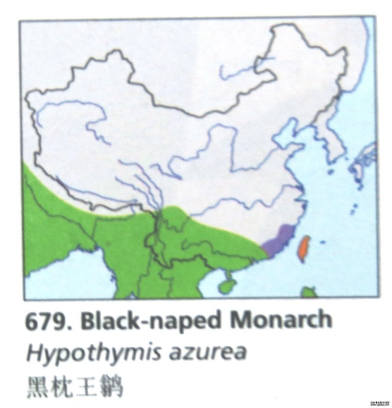 �������l�ĵ����ֲ�ͼ