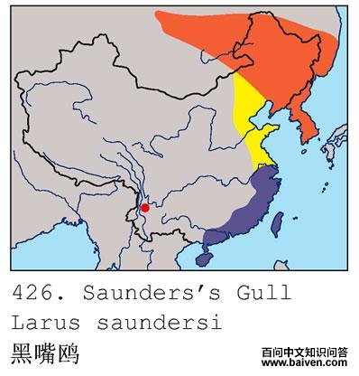 ����Ÿ�ĵ����ֲ�ͼ