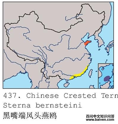 ����˷�ͷ��Ÿ�ĵ����ֲ�ͼ